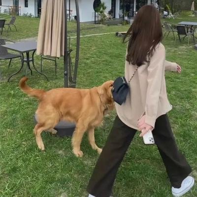 秘密之丘