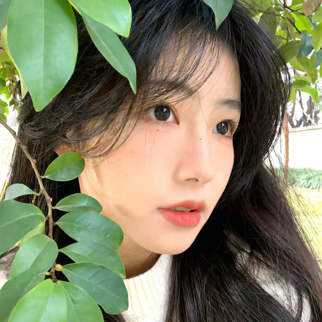 青春狂燄